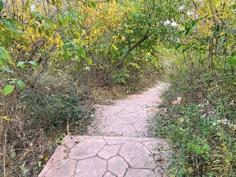 森林小路
