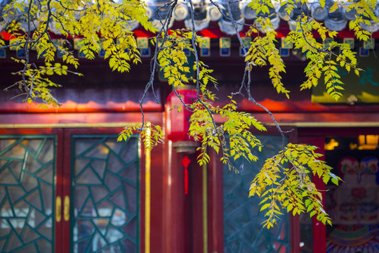 秋景