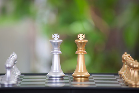 棋盤上雙方的王棋子在對(duì)決