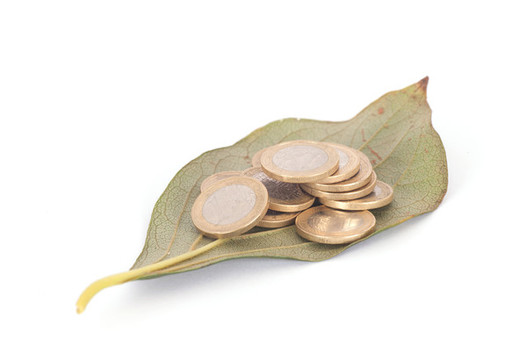 綠色樹(shù)葉里包著一堆歐元硬幣