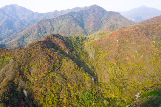 秦嶺山秋景
