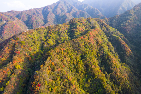 秦嶺山秋色