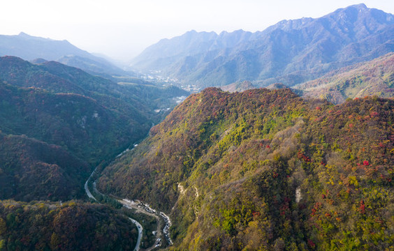 秦嶺山秋景