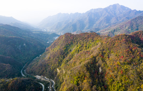 秦嶺山秋景