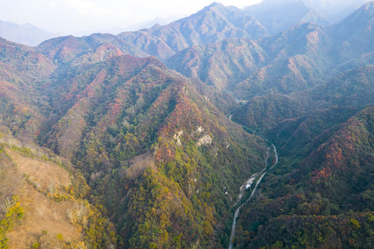秦嶺山秋色