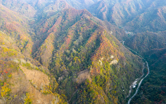 秦嶺山秋色