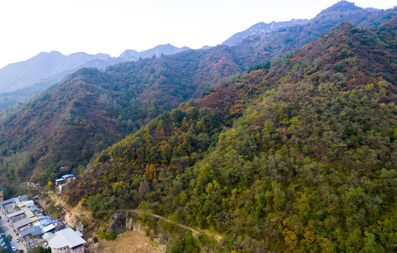 秦嶺山秋景