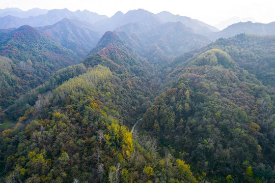 秦嶺山秋景