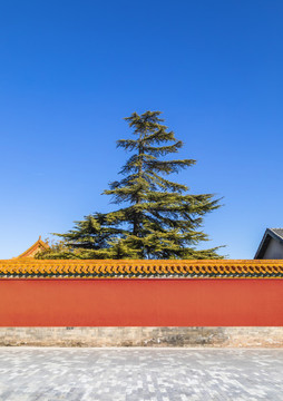 中國北京故宮博物院秋季風光