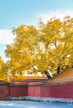 中國北京故宮博物院秋季風(fēng)光