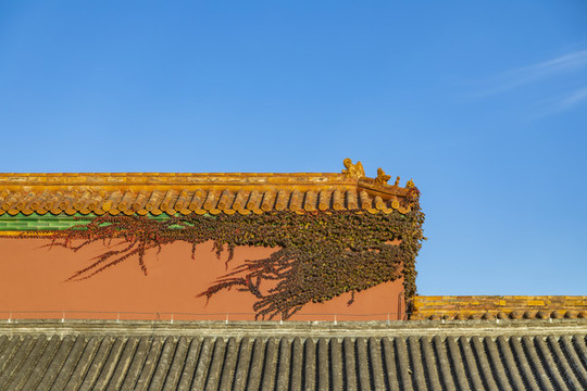 中國北京故宮博物院秋季風光