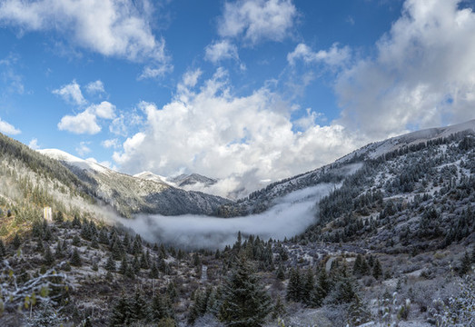 川西高原冬季雪景自然風(fēng)光