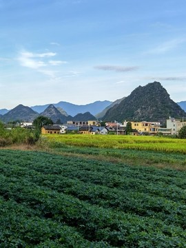 河源連平內莞1