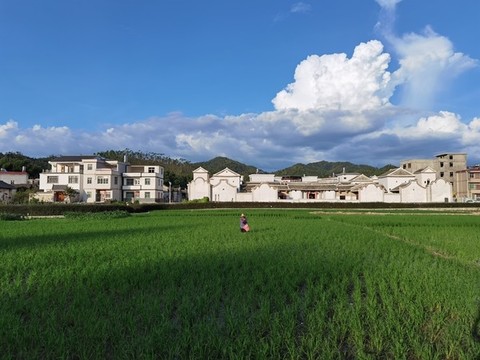 河源仙坑村
