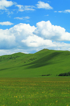 綠色牧場(chǎng)草地風(fēng)景