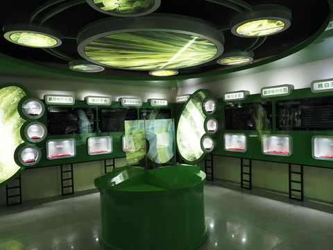 嘉蔭恐龍國家地質(zhì)公園
