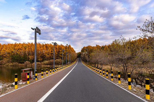 長春凈月潭國家森林公園秋季風景
