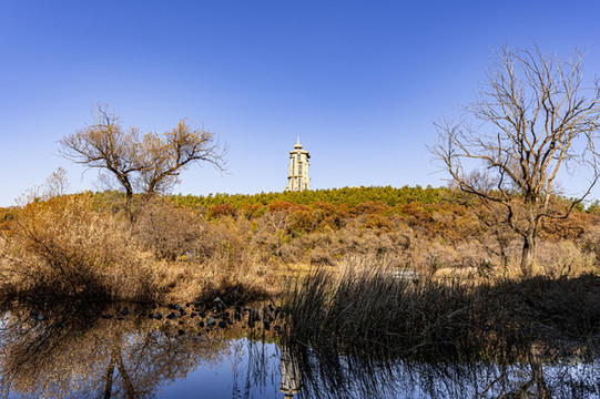 長春凈月潭國家森林公園秋季風(fēng)景