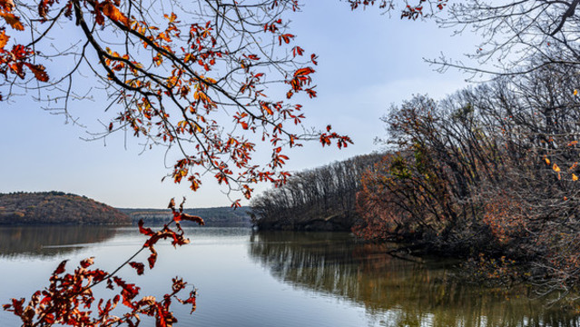 長春凈月潭國家森林公園秋季風(fēng)景