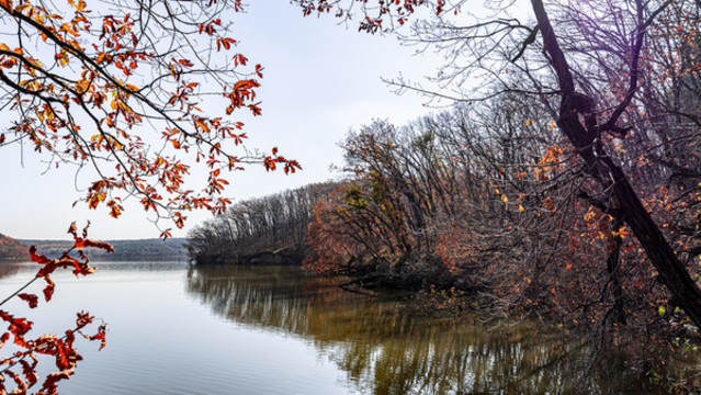 長春凈月潭國家森林公園秋季風景