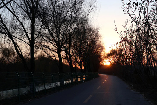 夕陽下的道路