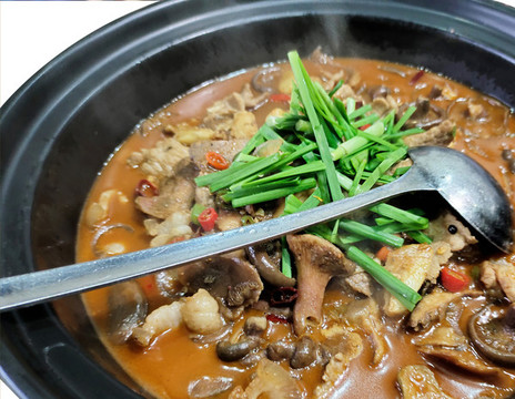 豬肉燉樅菌