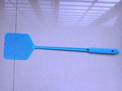 蒼蠅拍