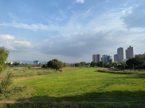 灞河景色