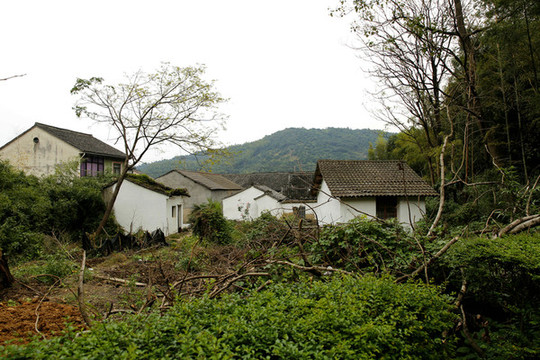 寧波慈溪方家河頭村
