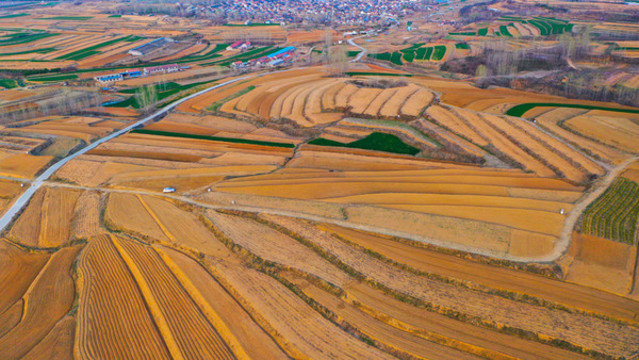 丘陵梯田