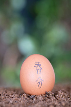土壤上的雞蛋上寫著春分兩個漢字