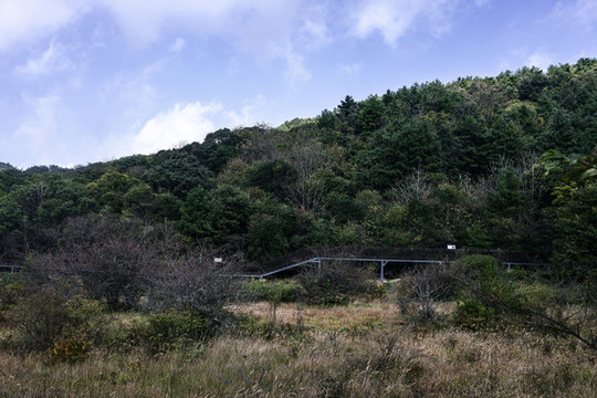 湖北夷陵圈椅淌國家濕地公園