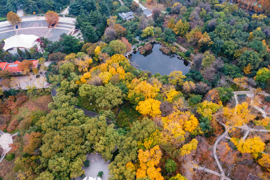 航拍濟(jì)南泉城公園秋色