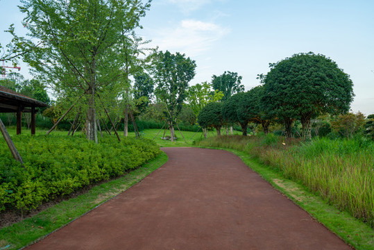 中央公園
