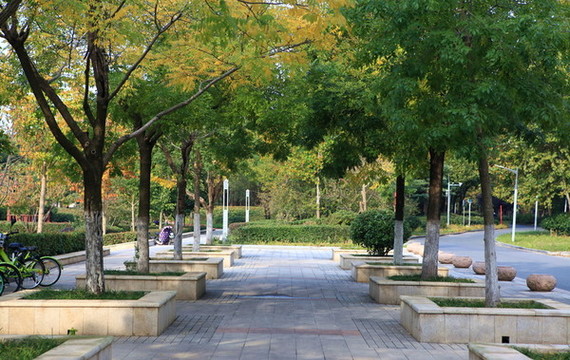 秋景