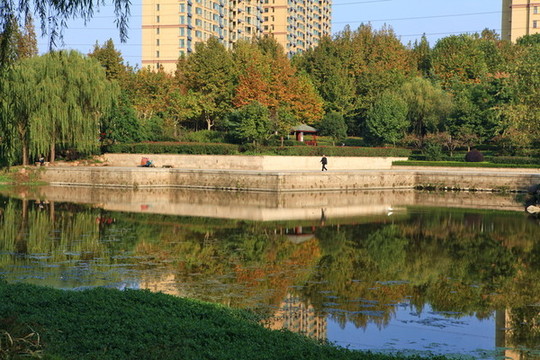 秋景
