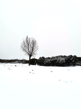 冰雪