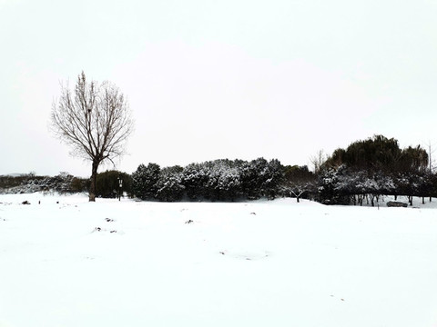 冰雪