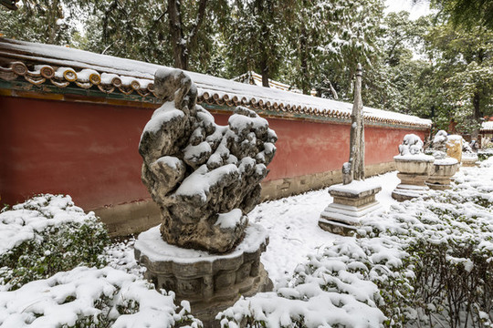 北京故宮御花園雪景