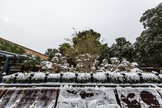 北京故宮御花園雪景