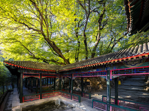 頤和園