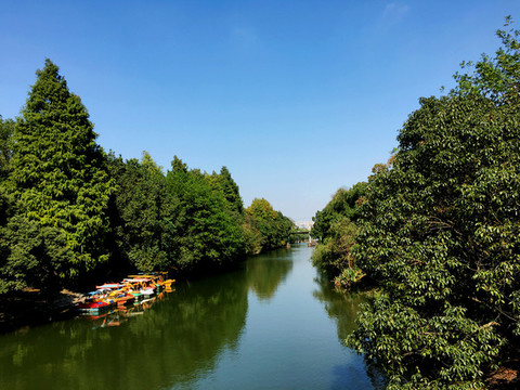 河邊樹林