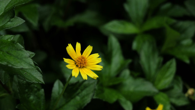 ?？谔禊Z湖公園