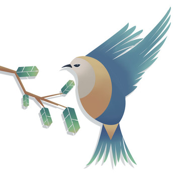 鳥(niǎo)