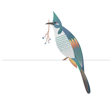 鳥(niǎo)