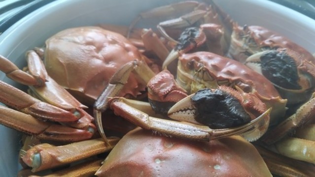 清蒸大閘蟹
