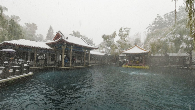 雪中趵突泉