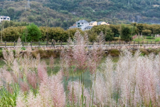 云和小順村