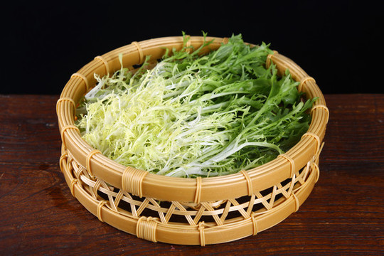 苦菊