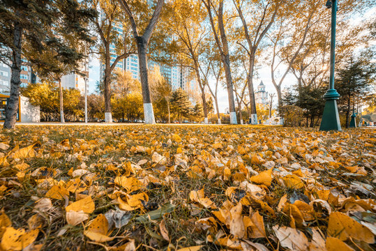 中國黑龍江省哈爾濱市斯大林公園